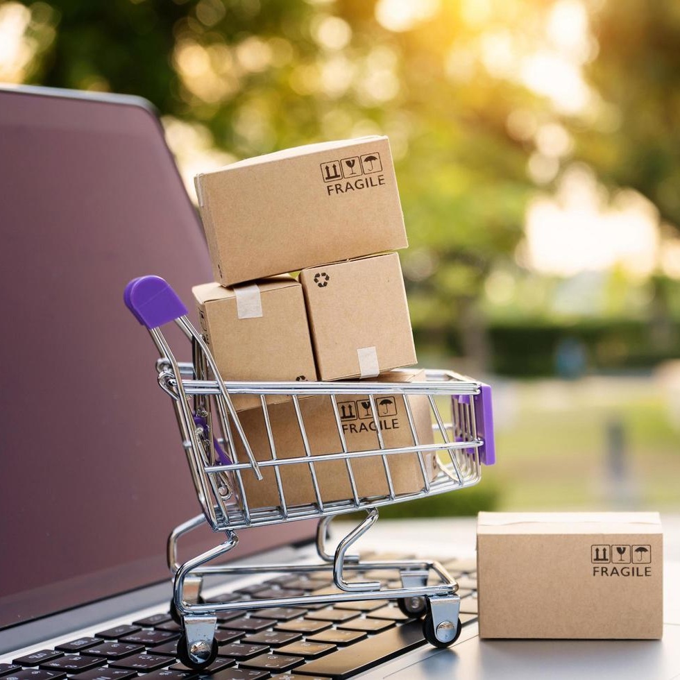 Already Designed Catalog Available